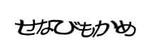 Authentication image